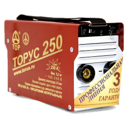 Сварочный инвертор Торус 250 в Москве